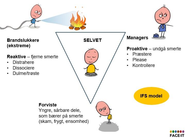 ifs modellen1