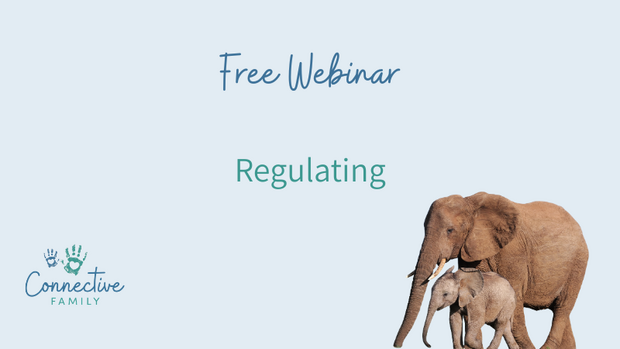 simplero free webinar