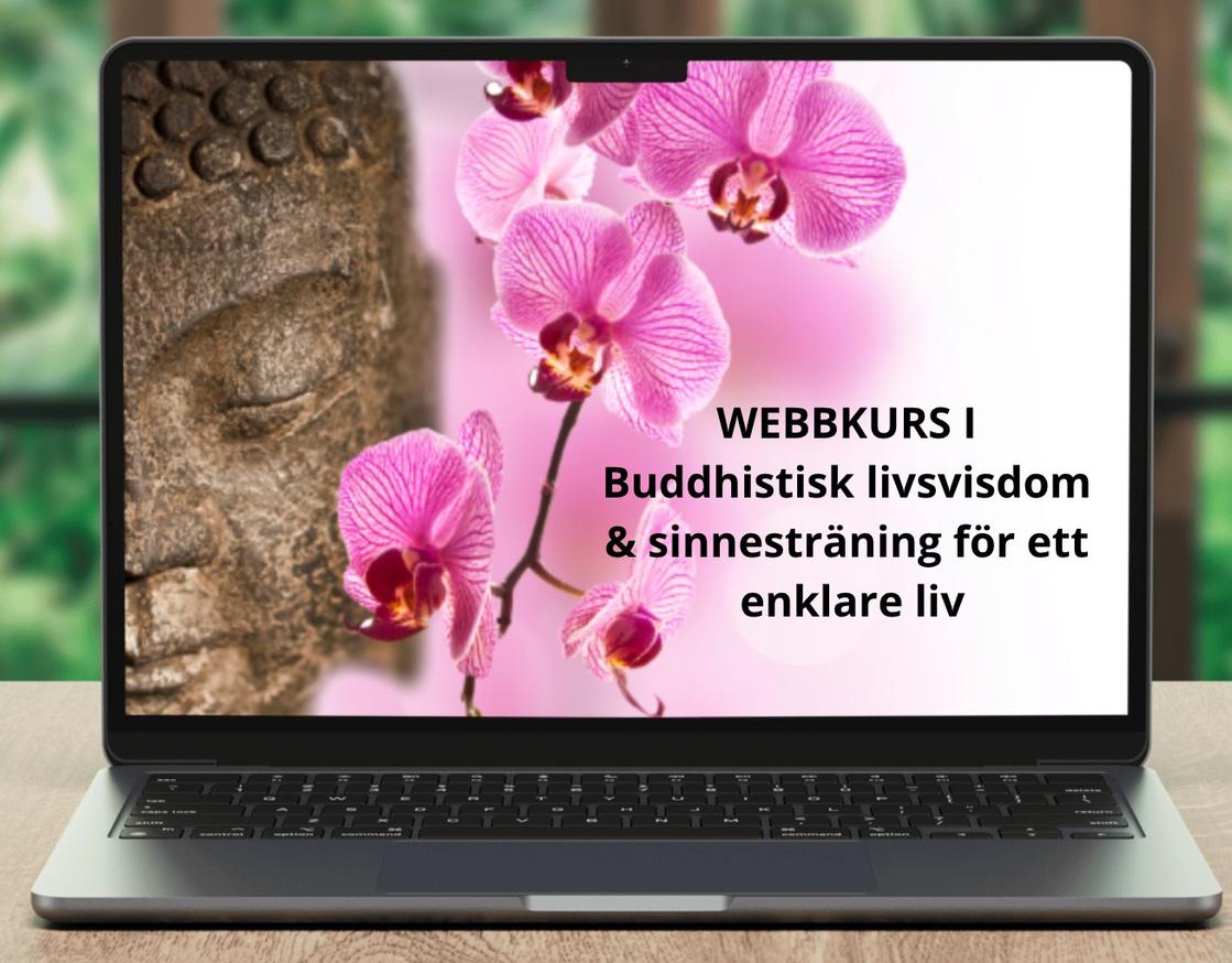 Buddha bild till webinarJam