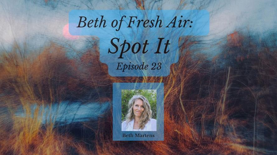 YT Ep 23 Beth of Fresh Air