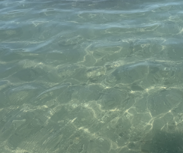 Screenshot 2026-03-29 at 9.44.50 PM