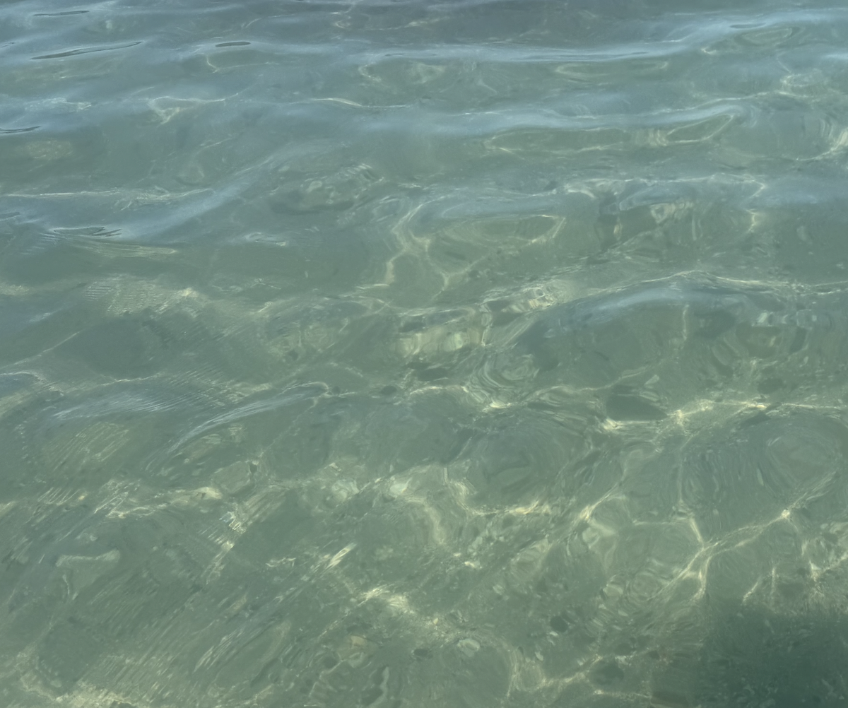 Screenshot 2026-03-29 at 9.44.50 PM