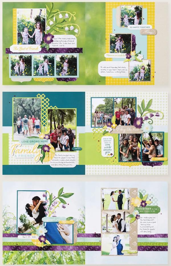 167862 Life in Bloom SBK