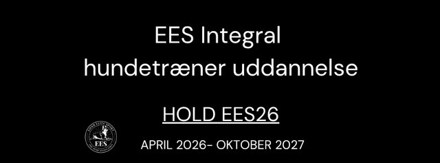 Kopi af Dark Blue Silk Line Elegant Virtual Assistant Facebook Cover (1)