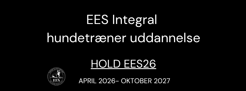 Kopi af Dark Blue Silk Line Elegant Virtual Assistant Facebook Cover (1)