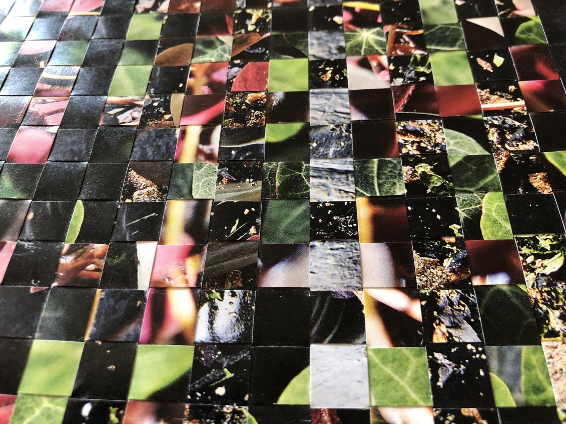 EBE578A7-35A4-4359-93D9-AB30F53EB69A_1_201_a