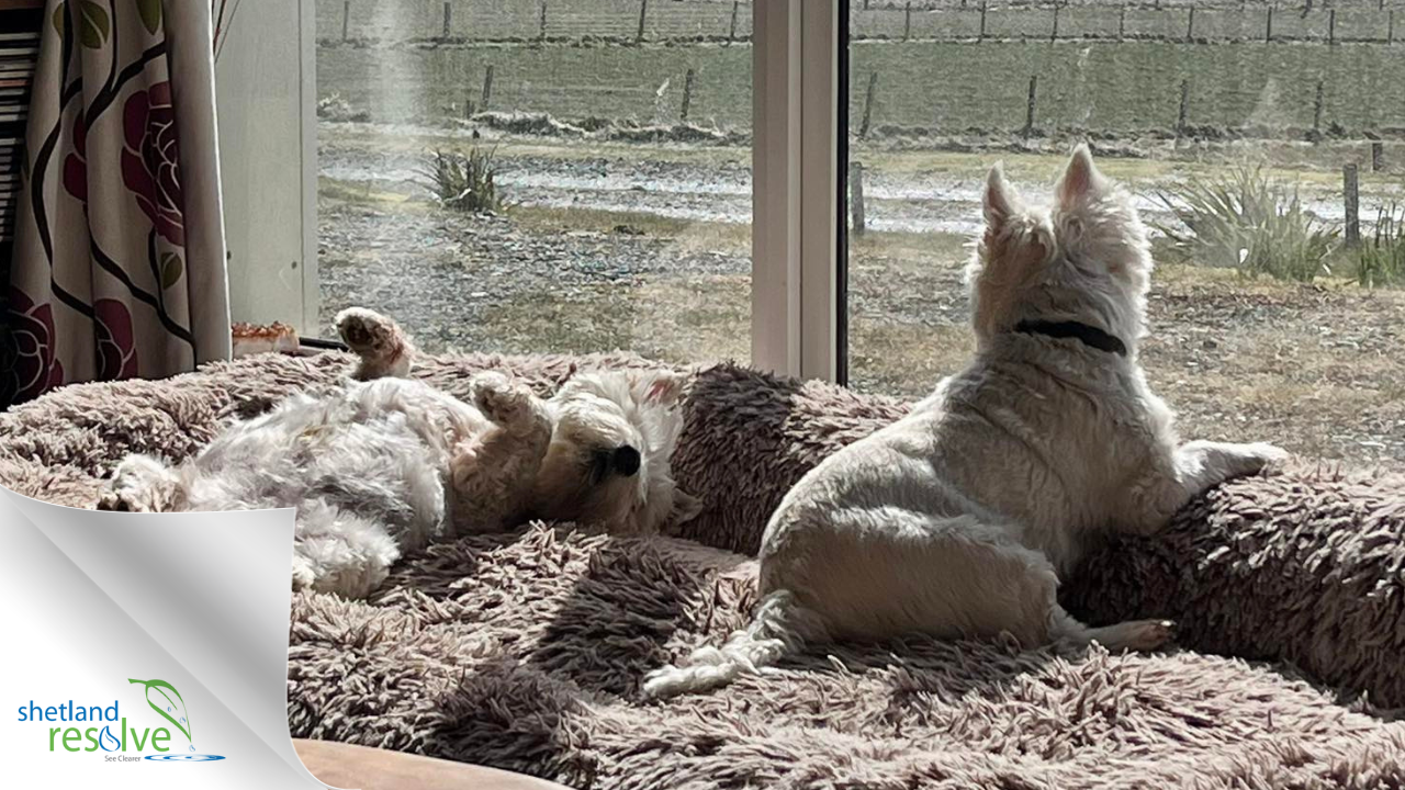 why-self-criticism-doesnt-create-change