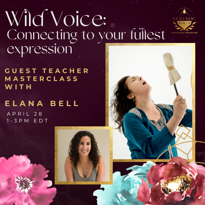 Elana Masterclass (1)