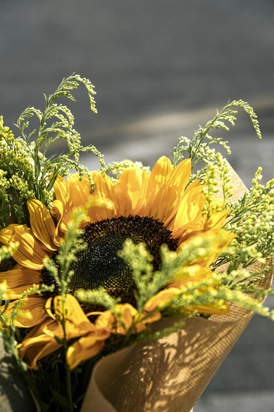 photo-1723121425925-09280a3226f6