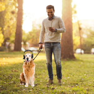 gå tur med hund og lydfil eller video