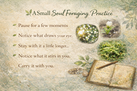 A small soul foraging practice