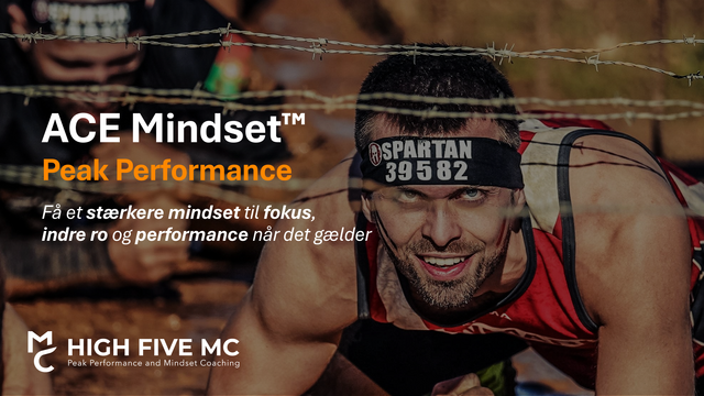 ACE Mindset Peak Performance cover simplero