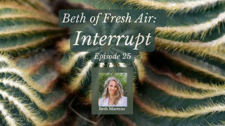 YT Ep 25 Beth of Fresh Air