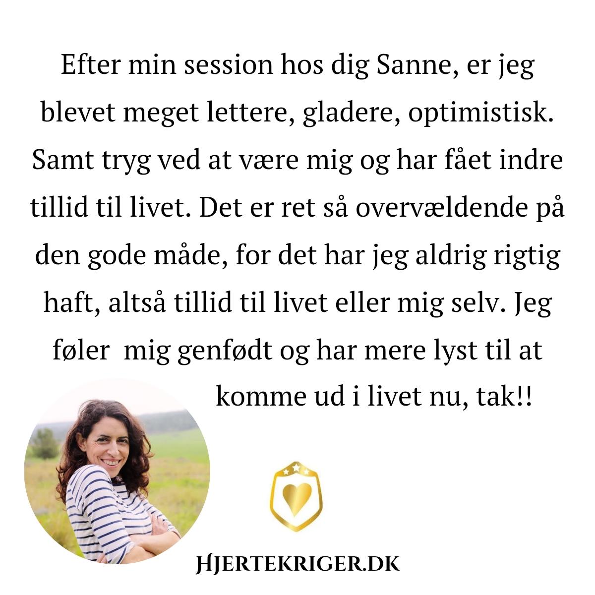 udtalelse klient