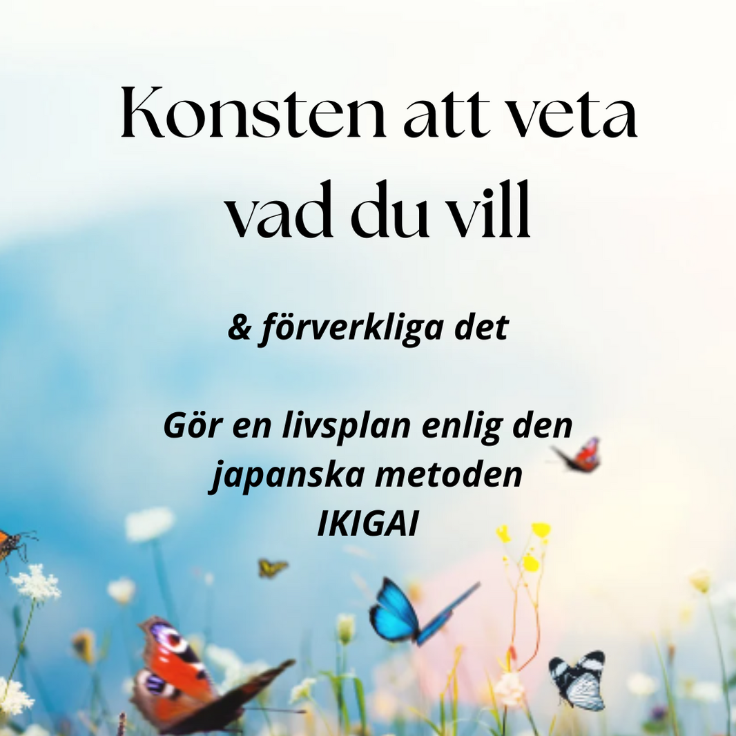 lÄR DIG MEDITERA (25)