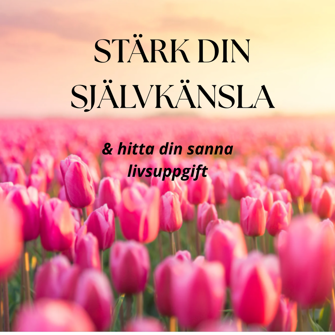 lÄR DIG MEDITERA (24)