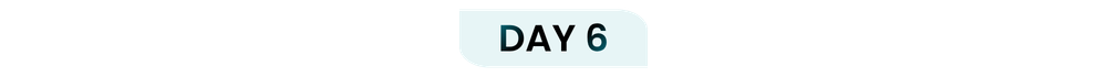 WHRS DAY 6