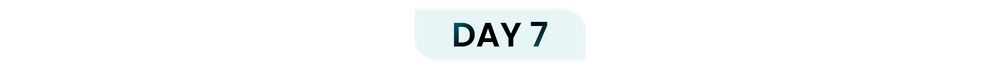 WHRS DAY 7