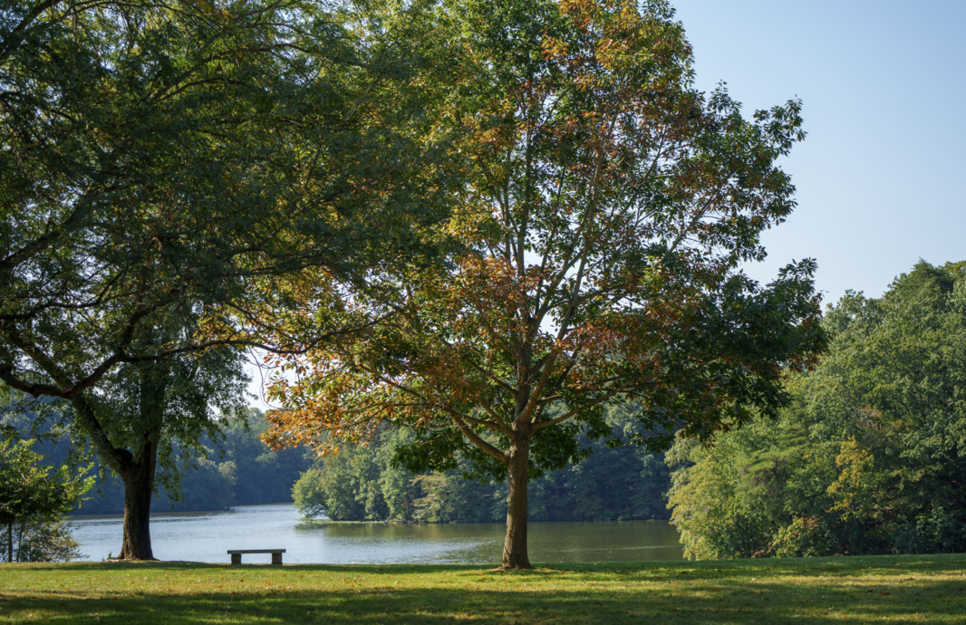 Screenshot 2026-04-13 at 3.52.35 PM