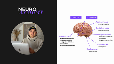 neuro_anatomy_video_5