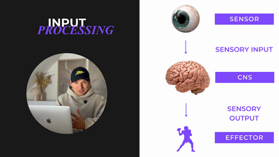 input_processing_video_3