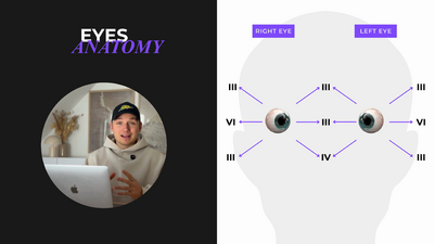 eyes_anatomy_video_6