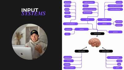 input_systems_video_4