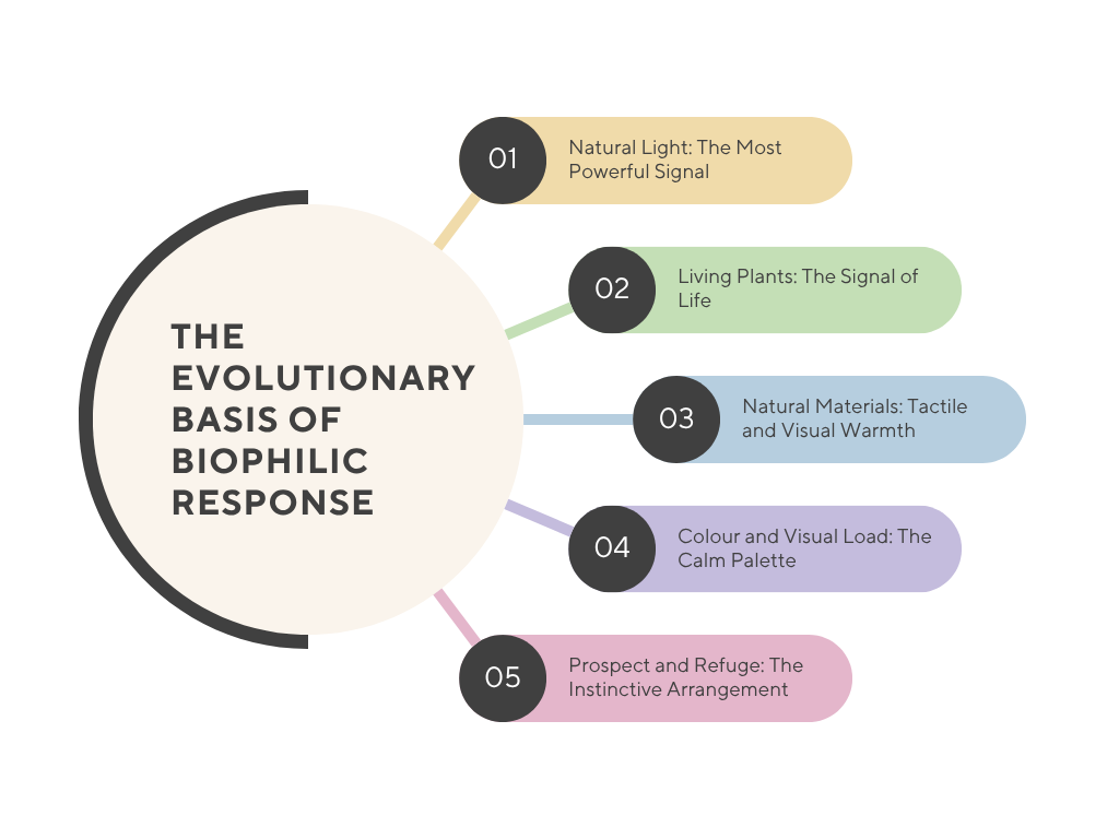 Beige Modern 5 Steps Strategic Planning Circle Diagram Graph