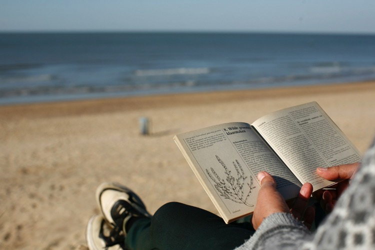 a-person-reading-a-book-on-a-beach