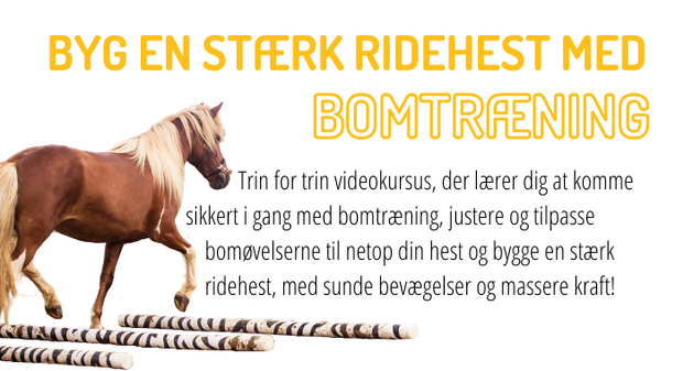 Product Card i Simplero (700 × 380px) (31)