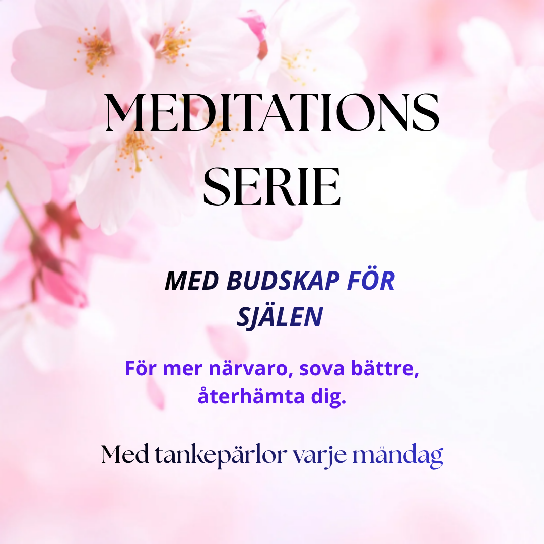 lÄR DIG MEDITERA (33)