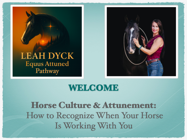 Screen Shot 2026-04-18 at 9.02.42 AM