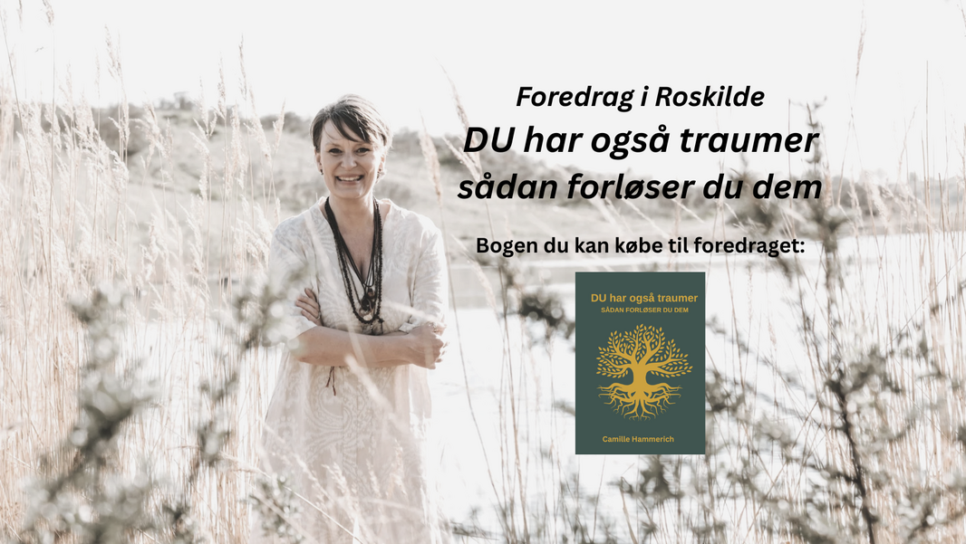 ForedragRoskilde