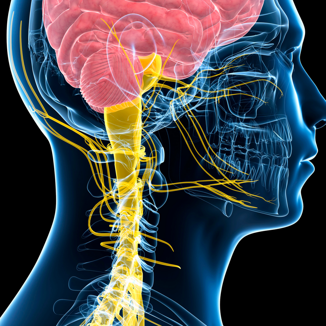 meditation, visualisering & breathwork (4)