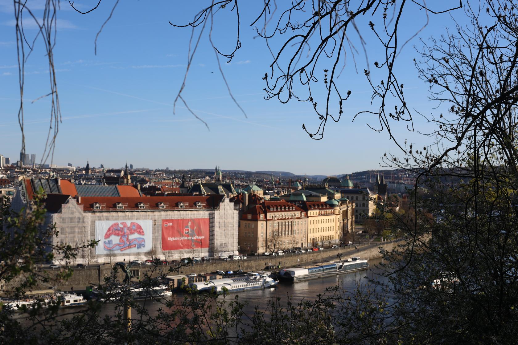 magnolier-1-7Y4A2835