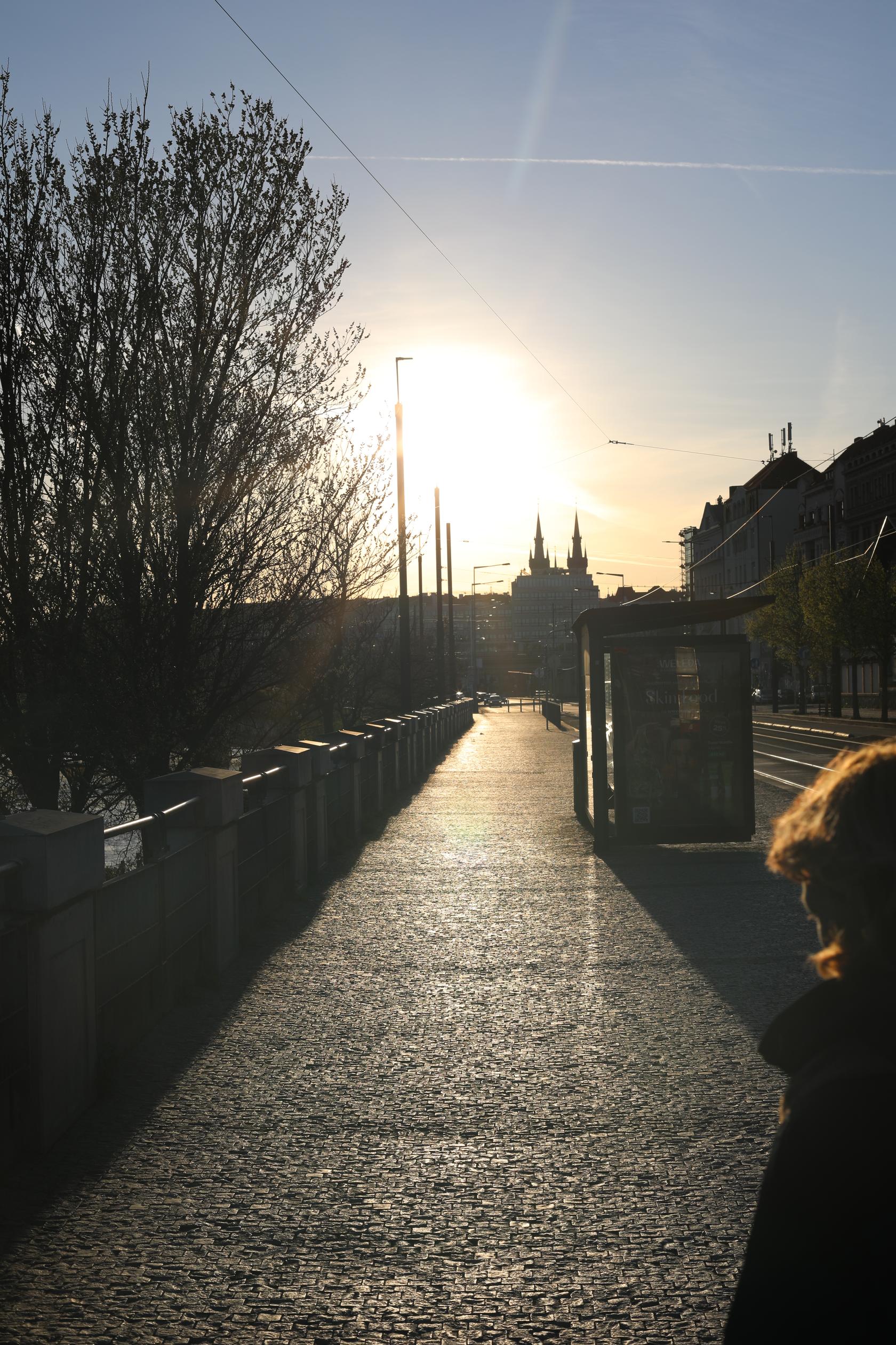 mangolier-4-7Y4A2871