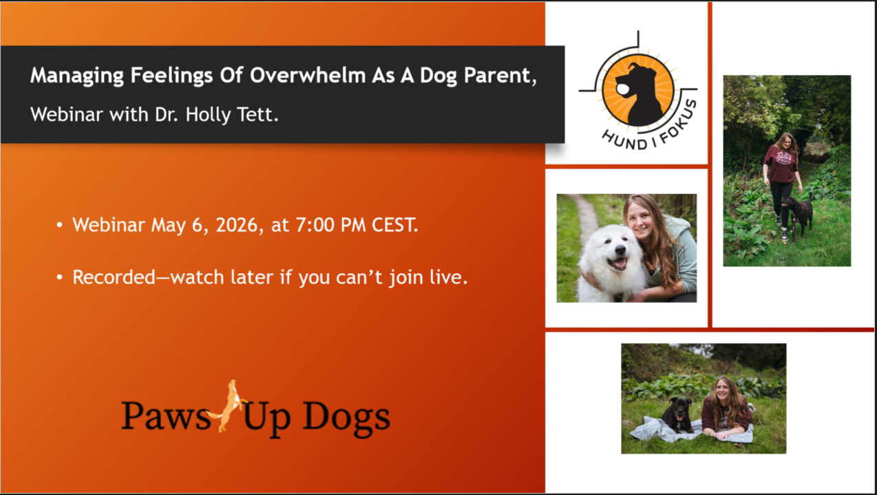 Skjermbilde 2026-04-28 203453