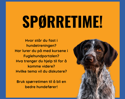 SPØRRETIME! Hva lurer du på ifht tr kurs, hundetrening