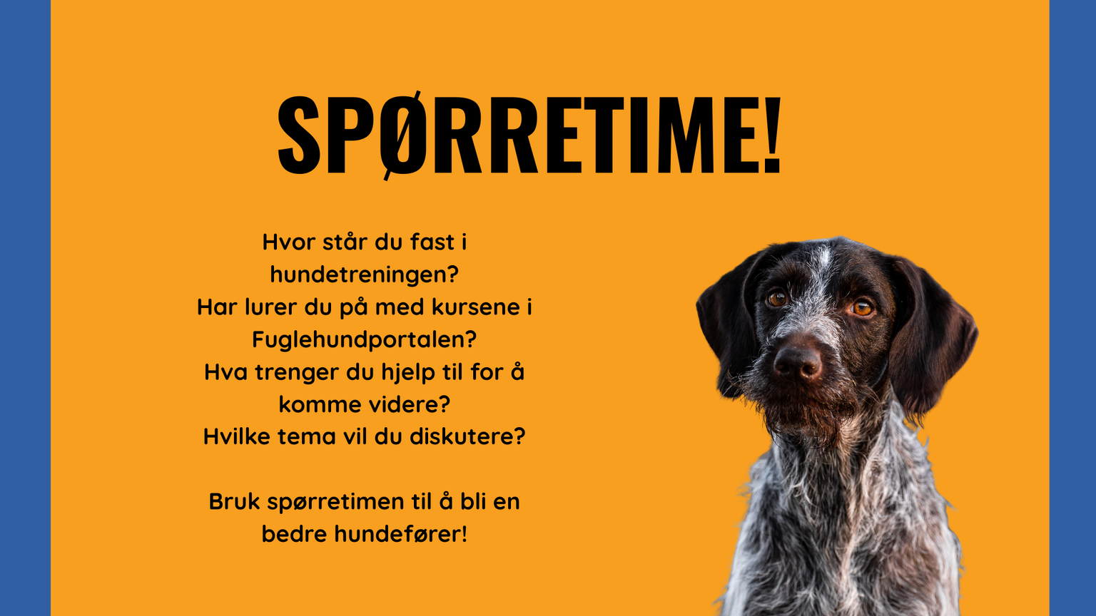 Kopi av SPØRRETIME! Hva lurer du på ifht tr kurs, hundetrening (Kalender)
