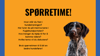 Kopi av SPØRRETIME! Hva lurer du på ifht tr kurs, hundetrening (Kalender)