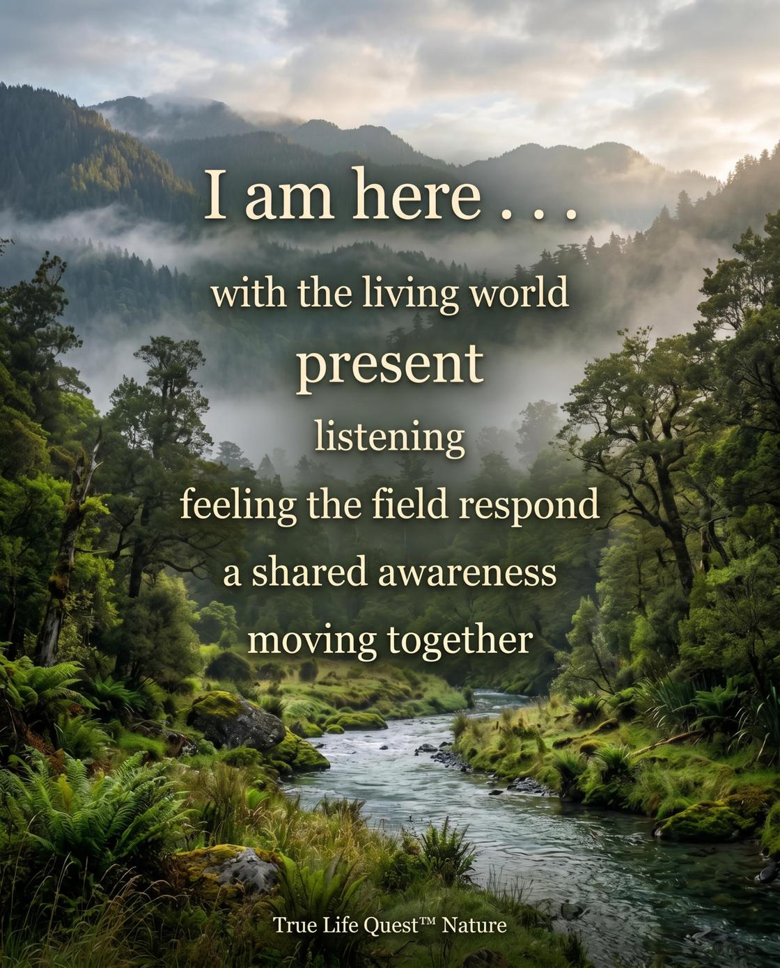TLQ-Nature - I am here trasmission with Gaia - Gemini_Generated_Image_1500-75
