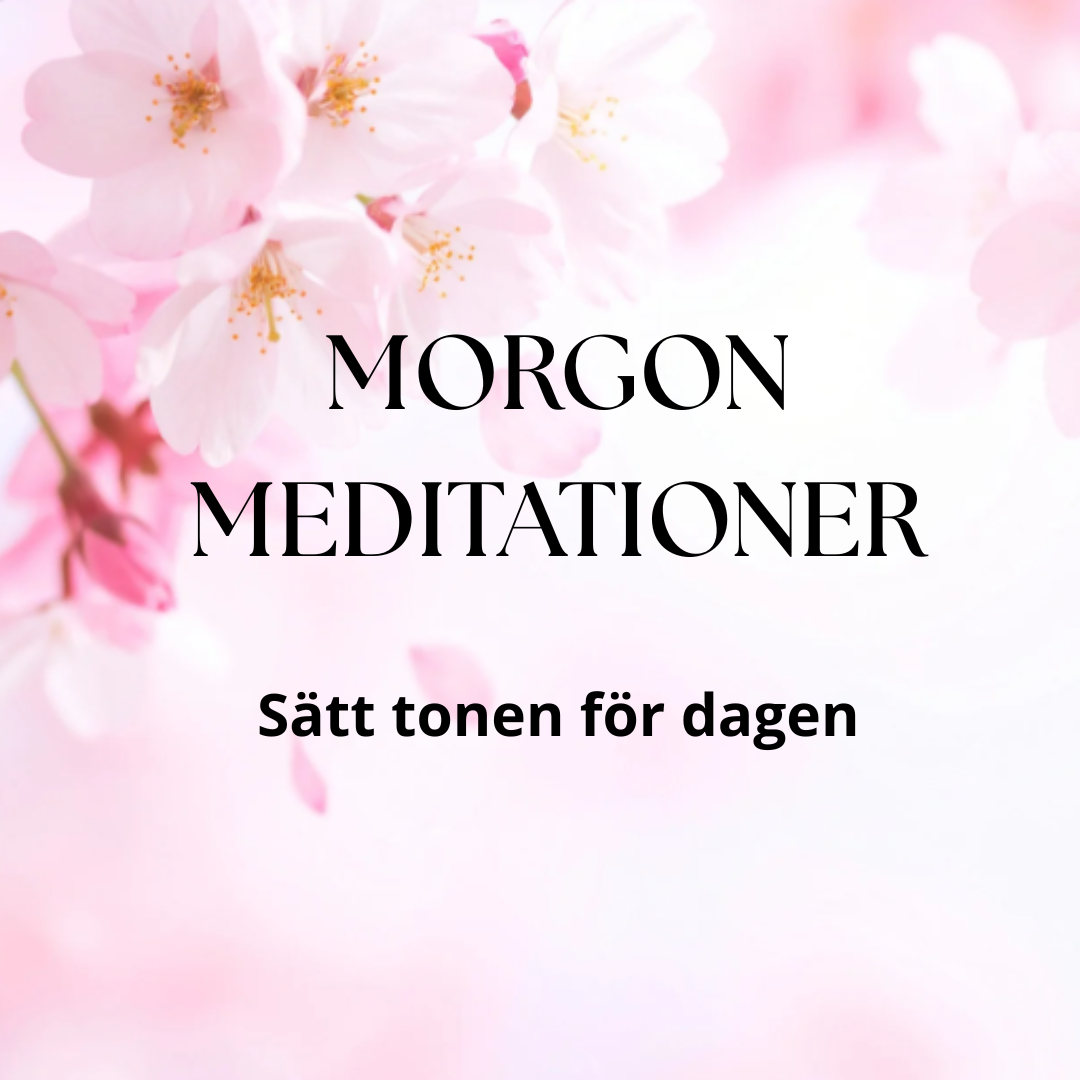 lÄR DIG MEDITERA (35)