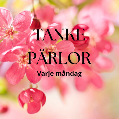 lÄR DIG MEDITERA (37)
