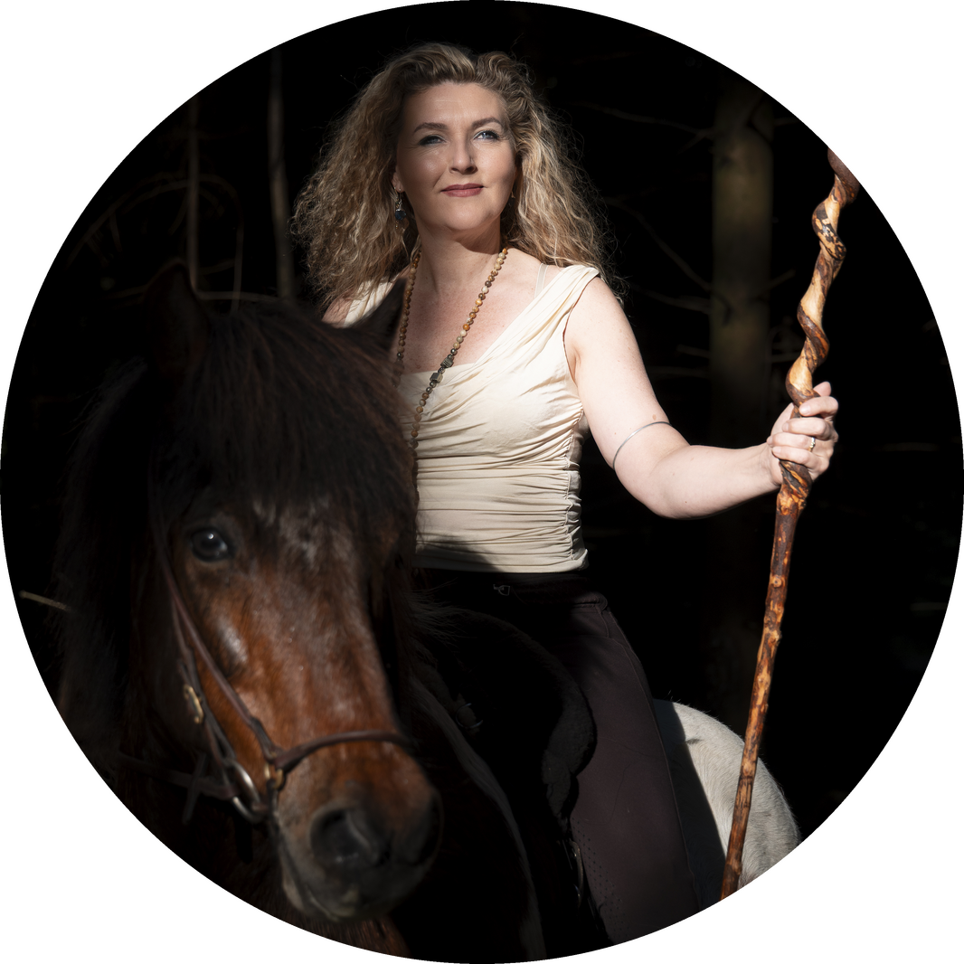 Johanne_hest_stav_skygge_cirkel