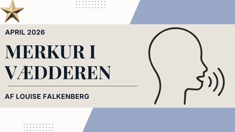 merkur template blog