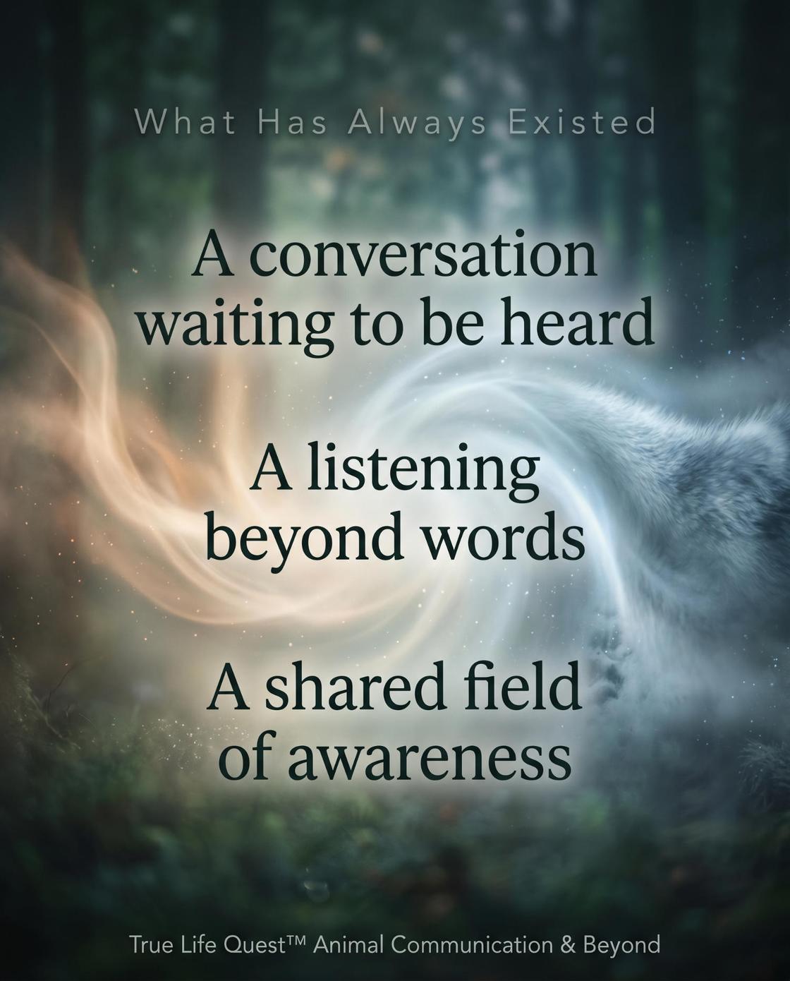 Animal-Communication-Image-True Life Quest Daniel Martinez Stahl - Gemini_Generated_Image_1500_75