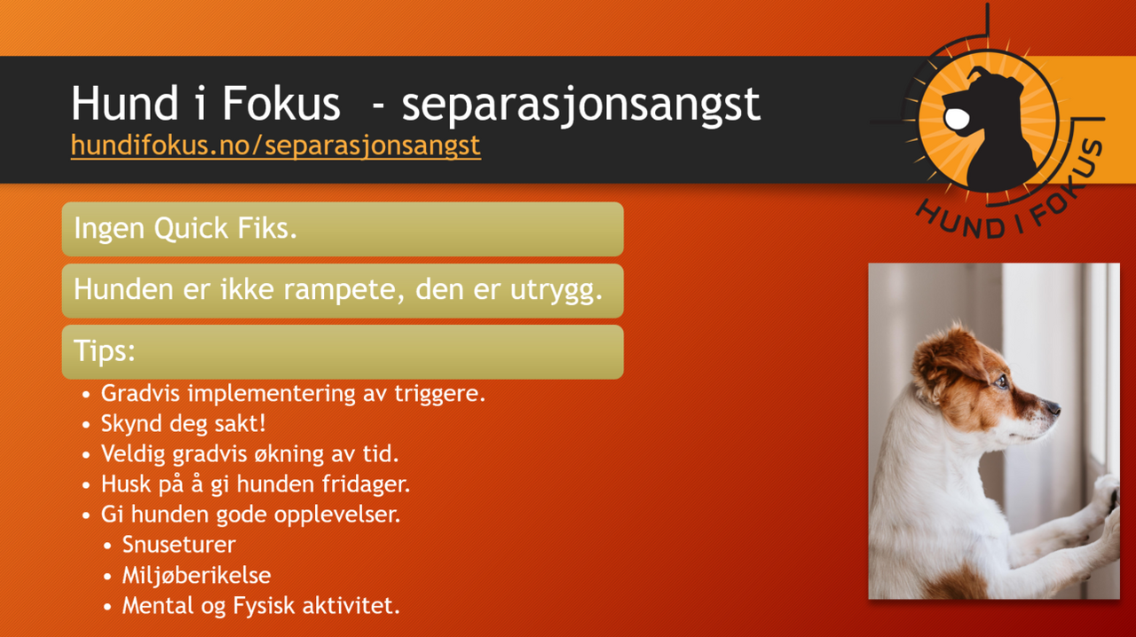Skjermbilde 2026-02-13 204613