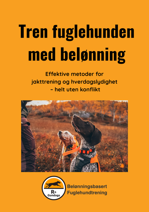Belønningshefte R+Gundogs