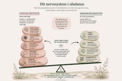 Tankemylder-stresshåndtering-behandling-skive