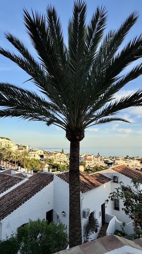 Nerja leilighet10